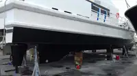 Catamarán en venta