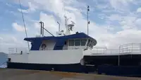 Arrastrero en venta