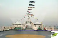Buque Ro-Ro en venta