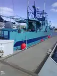Arrastrero en venta