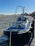 Lancha piloto en venta