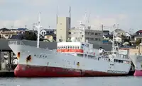 Arrastrero en venta