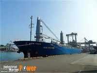 Buque granelero en venta