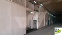 Buque Ro-Ro en venta