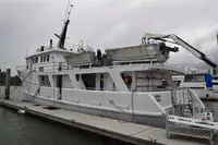 Arrastrero en venta