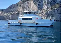 Catamarán en venta