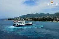 Buque de ferry en venta