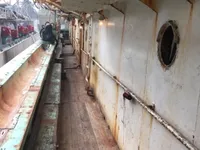 Calamarero en venta