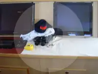 Arrastrero en venta