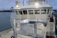 Buque transportador de peces vivos en venta