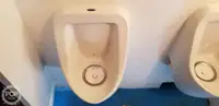 Catamarán en venta