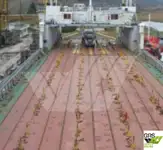 Buque Ro-Ro en venta