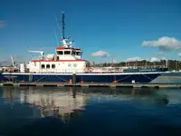 Catamarán en venta