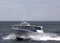 Barcos de trabajo en venta
