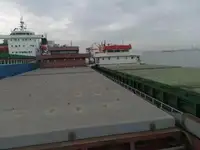 Buque granelero en venta