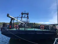 Buque frigorífico en venta