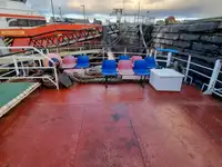 Buque de crucero en venta