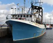 Arrastrero de cerco en venta