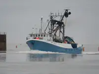 Arrastrero de cerco en venta