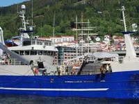 Arrastrero de cerco en venta