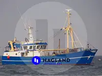Arrastrero de viga en venta