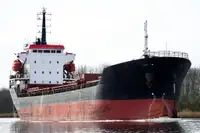 Granelero en venta