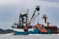 Arrastrero de cerco en venta
