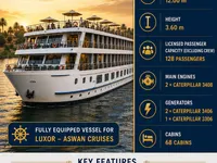 Buque de crucero en venta
