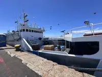 Arrastrero en venta