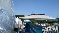 Buque portacontenedores en venta