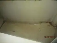 Buque frigorífico en venta