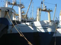 Arrastrero en venta