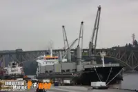 Buque granelero en venta