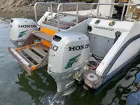 Catamarán en venta