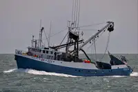 Arrastrero de cerco en venta