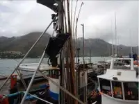 Arrastrero en venta