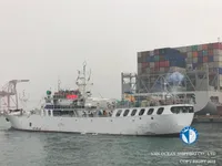 Palangrero en venta