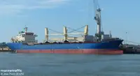 Granelero en venta