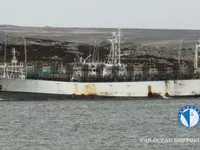 Calamarero en venta