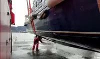 Embarcaciones de trabajo en venta