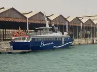 Buque de ferry en venta
