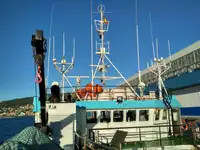 Arrastrero en venta