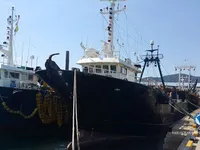 Arrastrero en venta