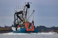 Arrastrero de cerco en venta