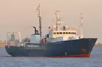 Bote patrulla en venta