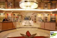 Buque de crucero en venta