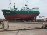 Arrastrero en venta