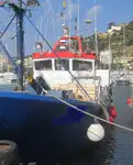 Arrastrero en venta
