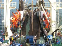 Arrastrero en venta