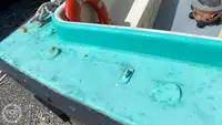 Buque de crucero en venta